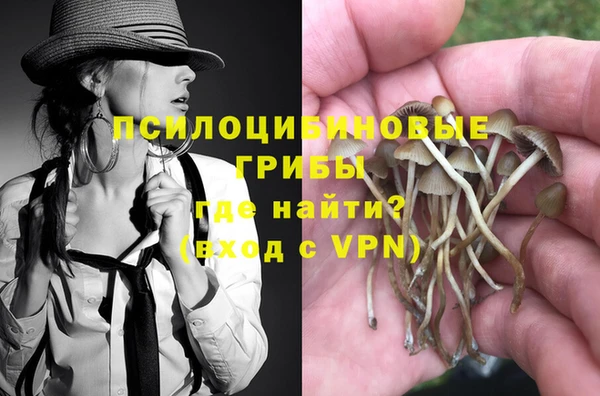 ALPHA-PVP Медногорск