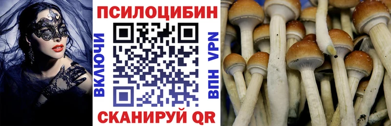 Галлюциногенные грибы Cubensis Серпухов