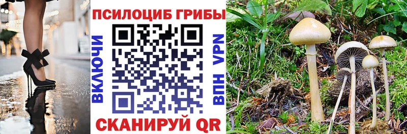 Псилоцибиновые грибы прущие грибы  Серпухов 