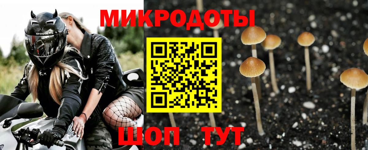 Галлюциногенные грибы мухоморы Серпухов