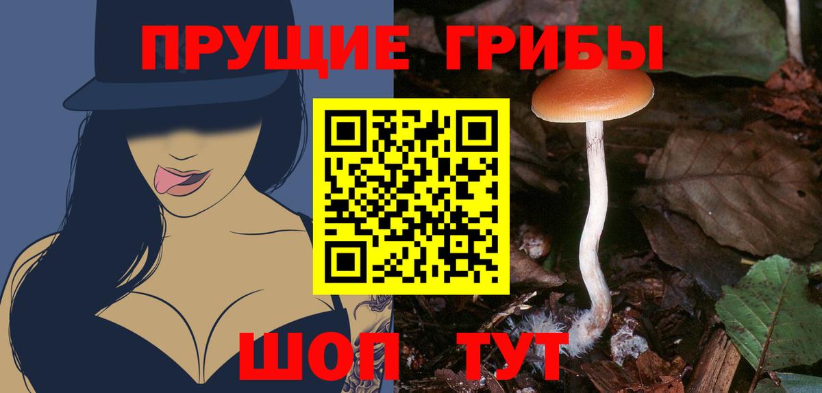 Серпухов  Псилоцибиновые грибы мухоморы  Вход с VPN  закладки  Псилоцибиновые грибы ЛСД 